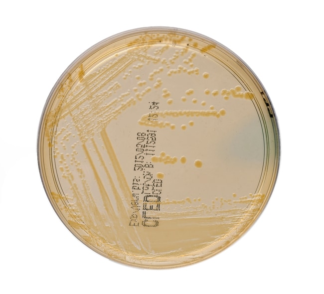 Thermo Scientific CLED Agar, Bezeichnung